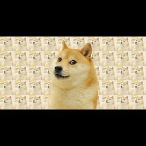 Meet your Posher, Kristin